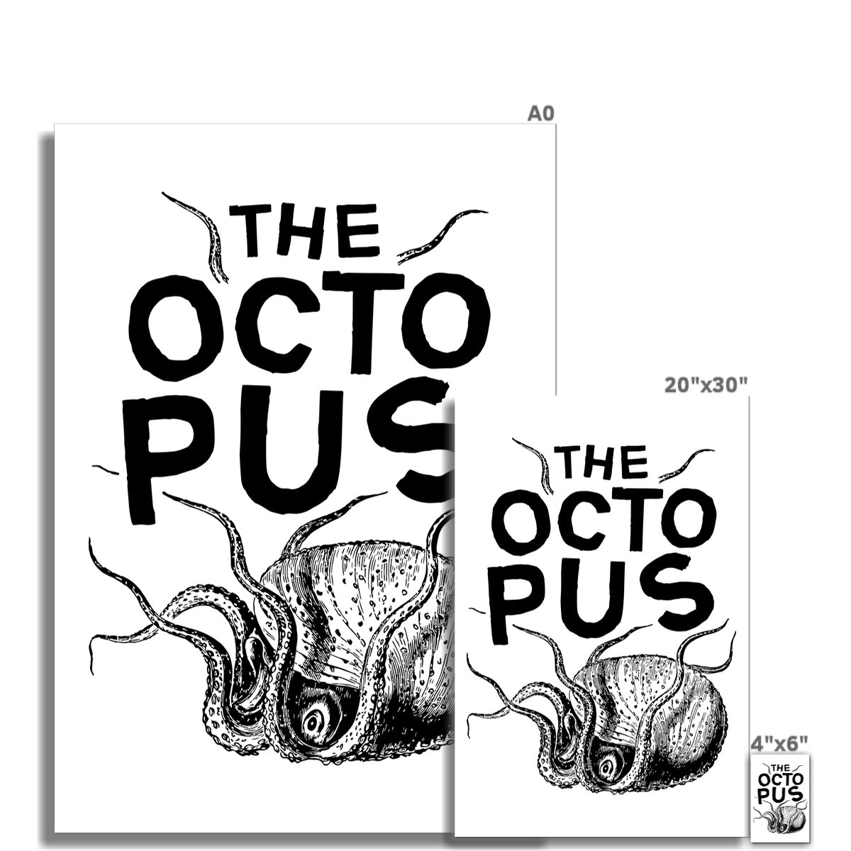 AQUA B&W - 03 - Oktopus - Gerollte Leinwand