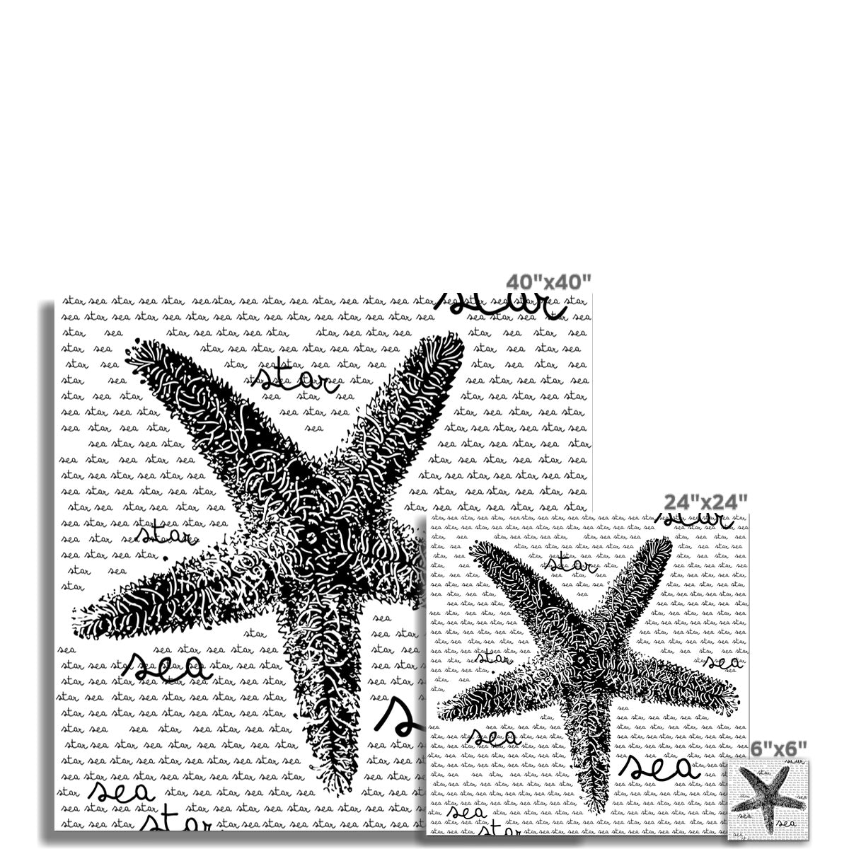 Pôster AQUA B&W - 08 - Estrela do Mar - Arte de Parede