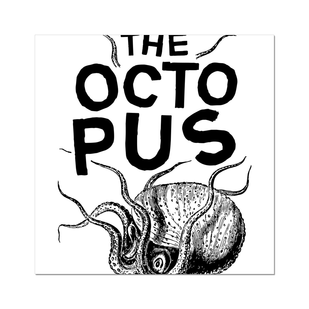 AQUA B&W - 03 - Oktopus - Gerollte Leinwand