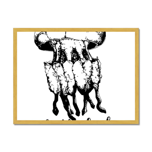 AQUA B&W - 02 - Água-viva - Impressão emoldurada antiga