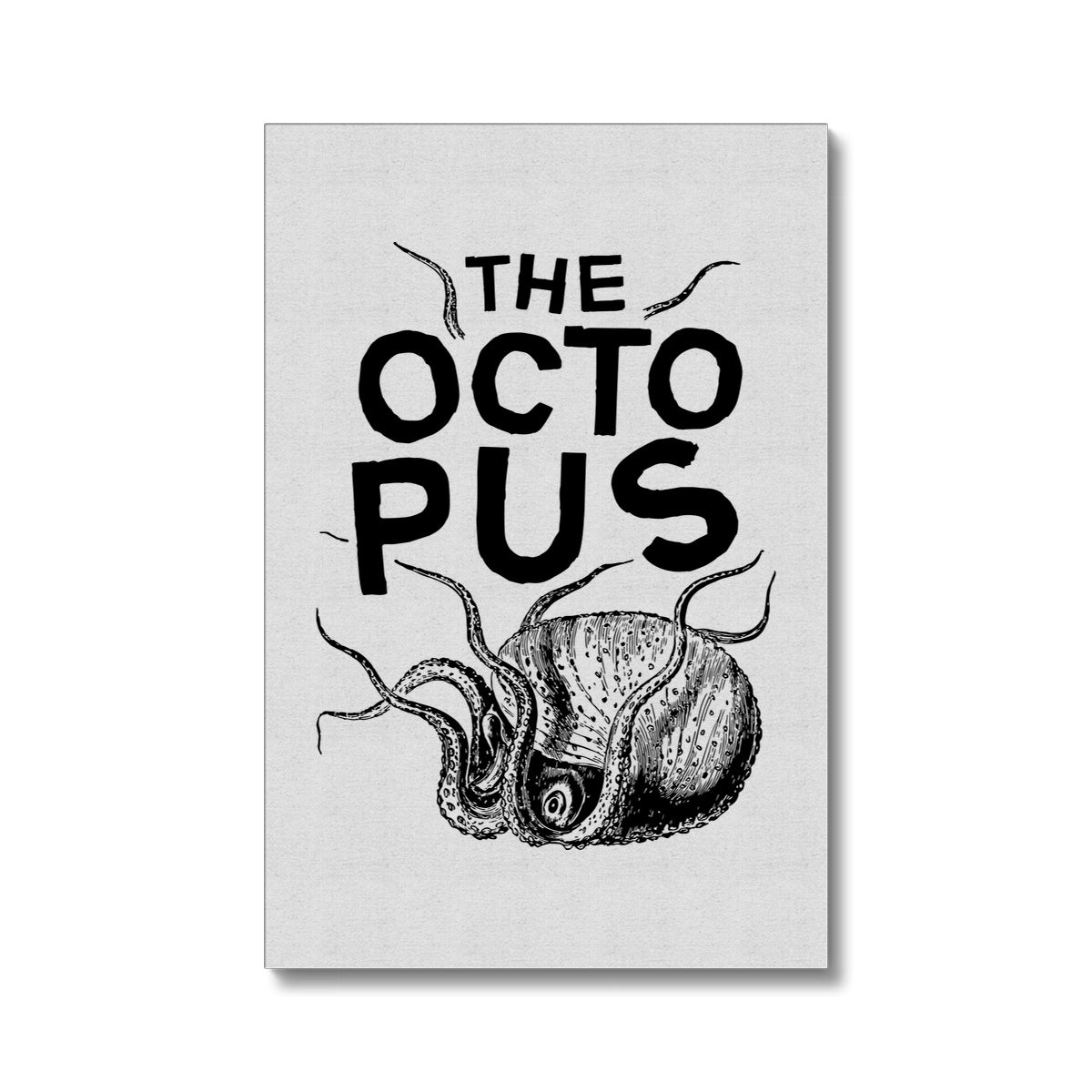 AQUA P&B - 03 - Polvo - Eco Canvas
