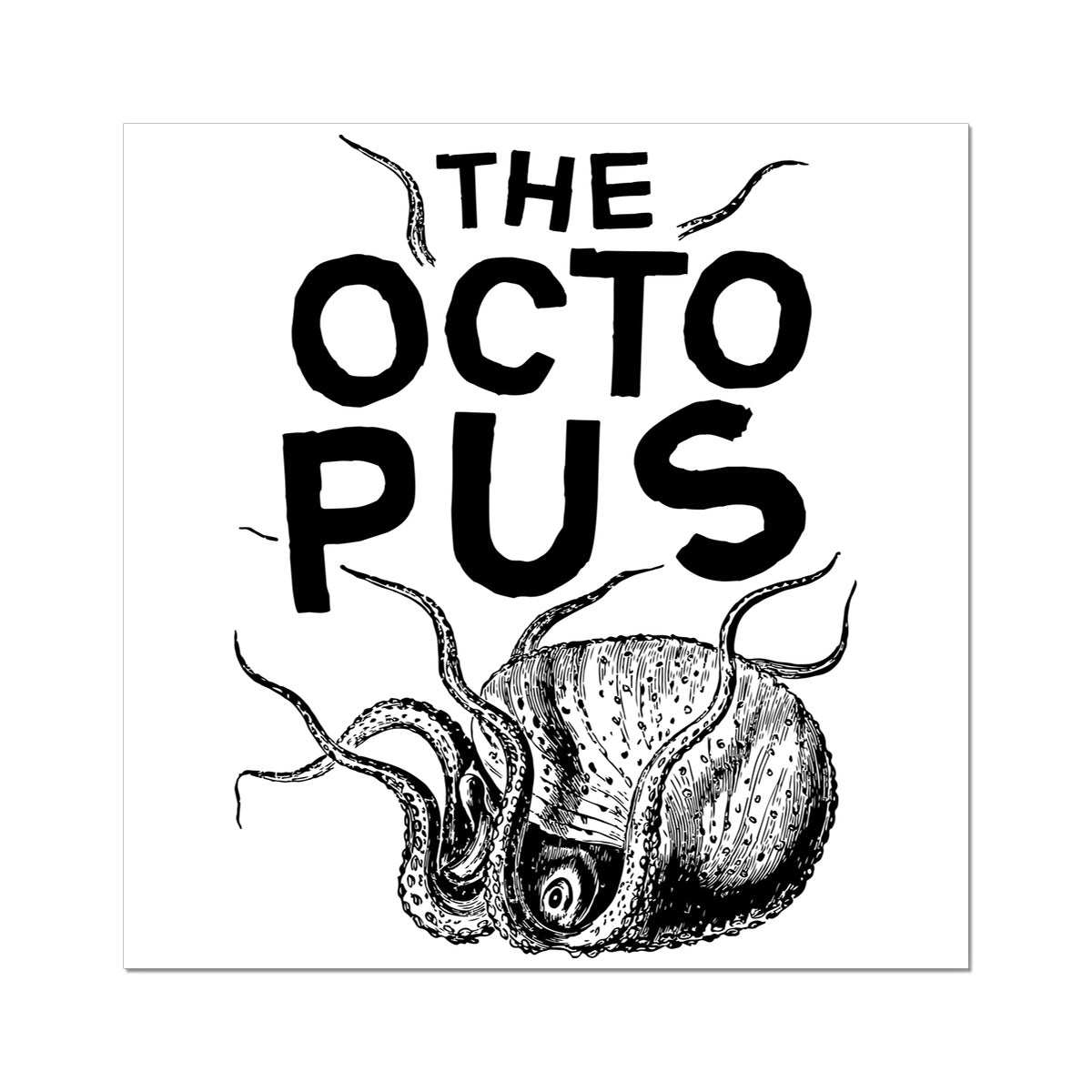 Pôster AQUA B&W - 03 - Polvo - Arte de Parede