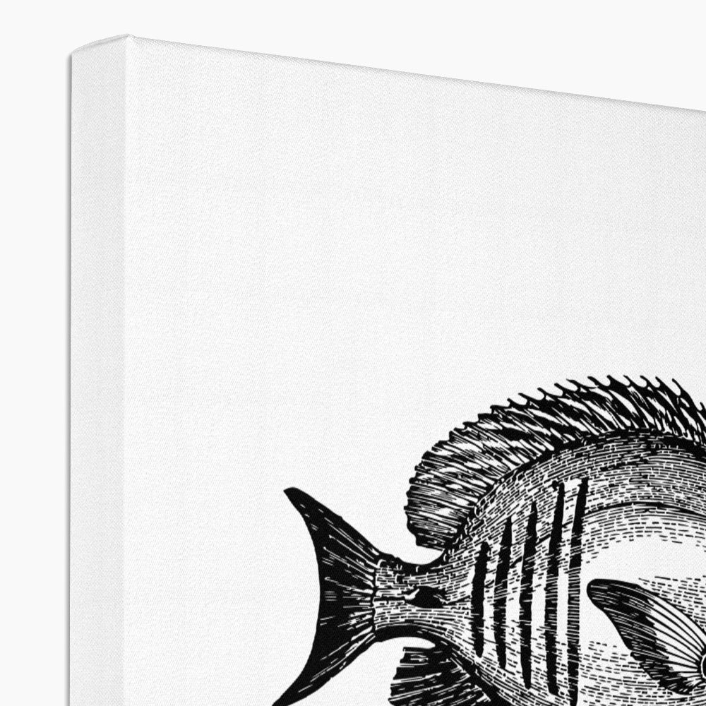 AQUA B&W - 01 -Big Fish - Eco Canvas