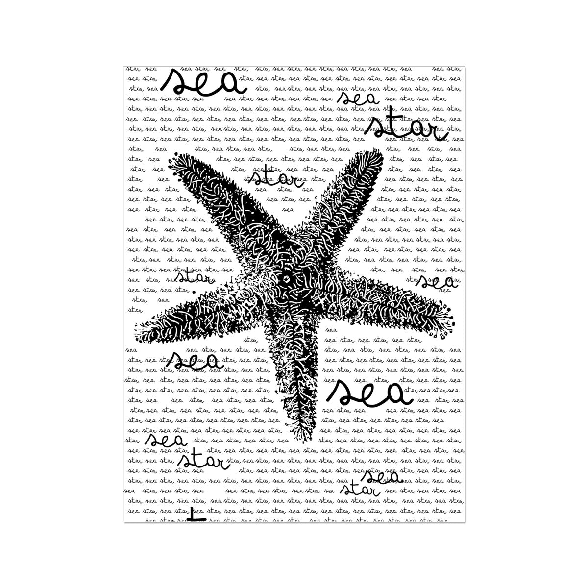 Pôster AQUA B&W - 08 - Estrela do Mar - Arte de Parede