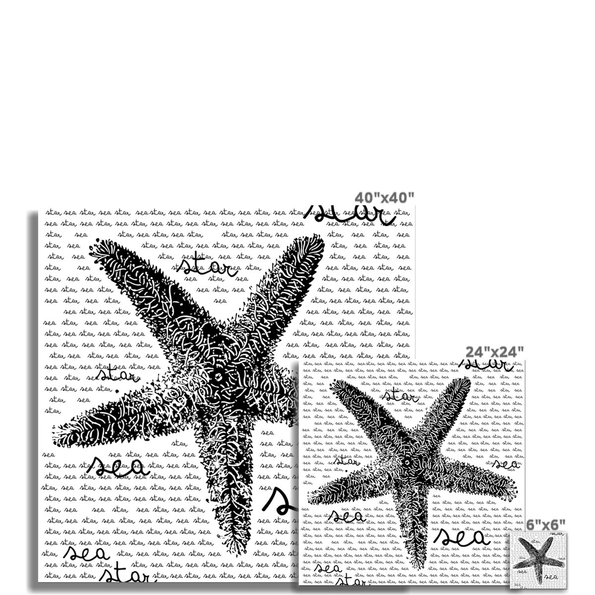 AQUA B&W - 08 - Sea Star - Rolled Eco Canvas