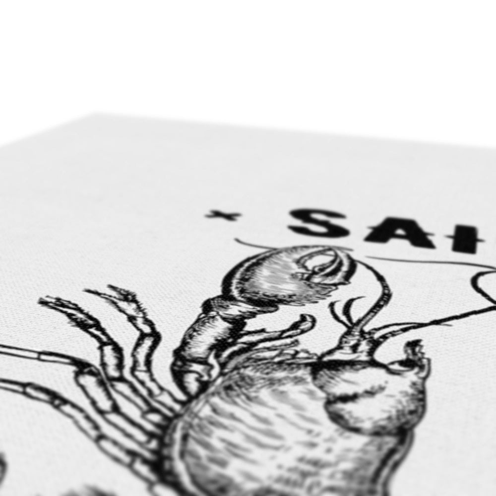 AQUA B&W - 06 - Sailing Lungs - Eco Canvas