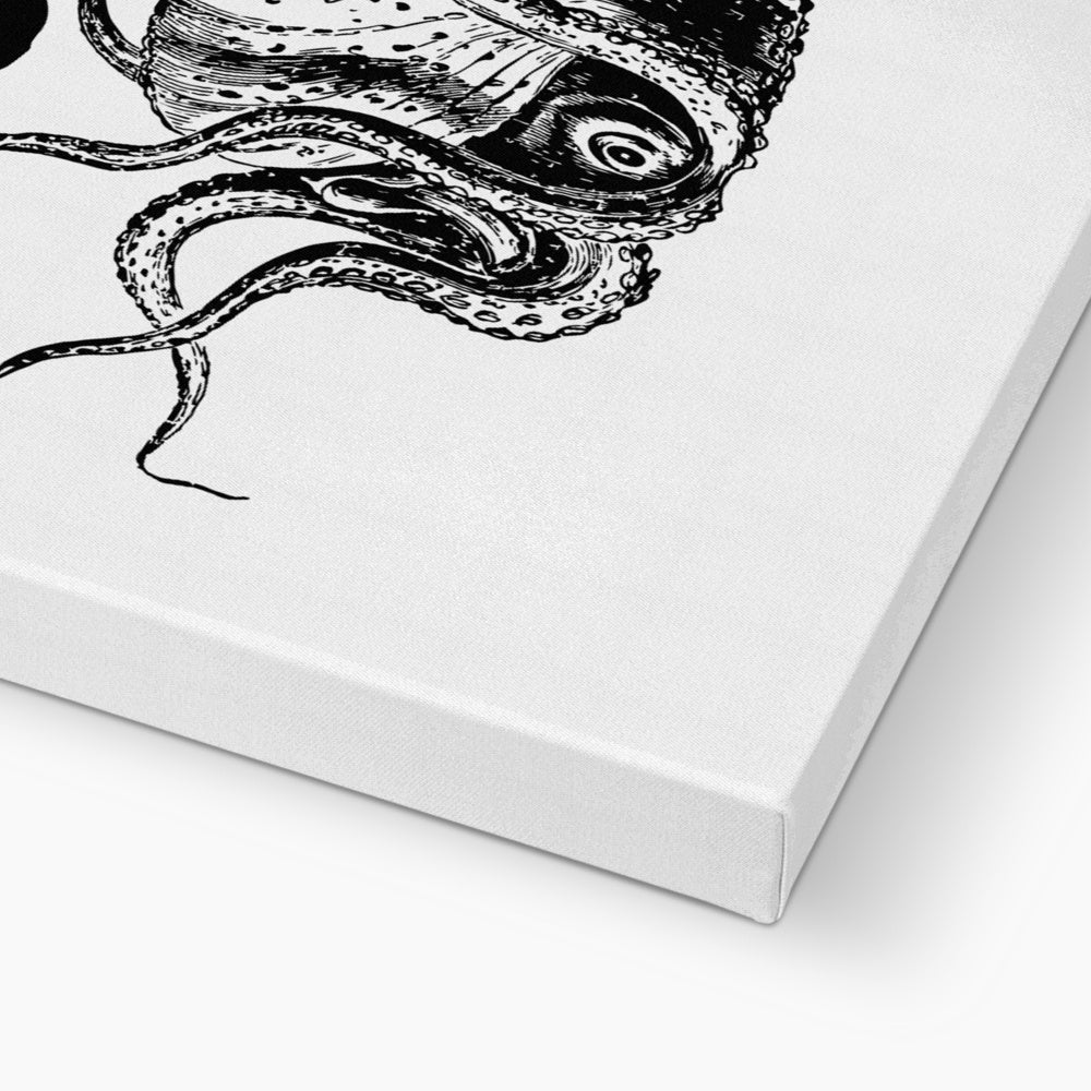 AQUA P&B - 03 - Polvo - Eco Canvas