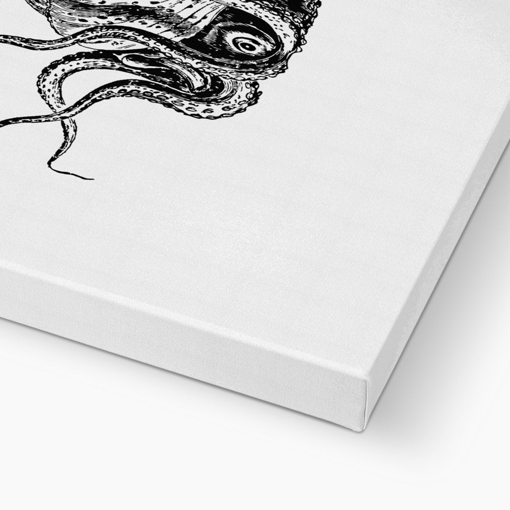 AQUA P&B - 03 - Polvo - Eco Canvas