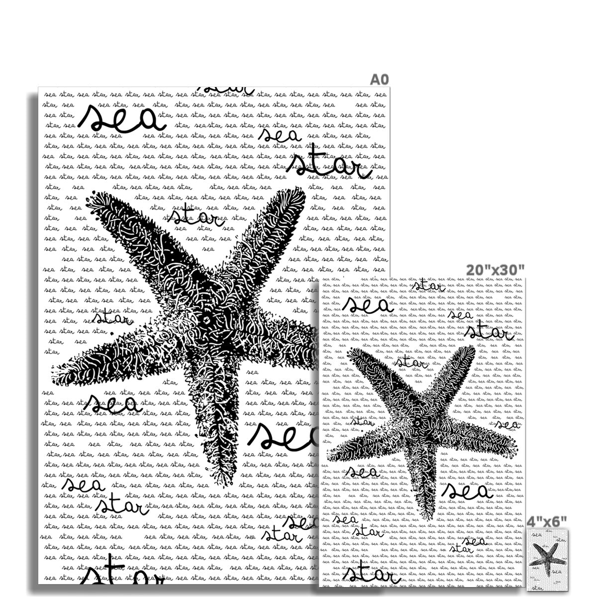 AQUA B&W - 08 - Sea Star - Rolled Eco Canvas