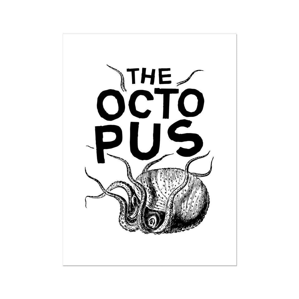 Pôster AQUA B&W - 03 - Polvo - Arte de Parede