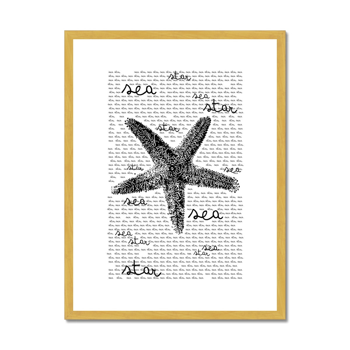 AQUA B&W - 08 - Estrela do mar - Impressão antiga emoldurada e montada