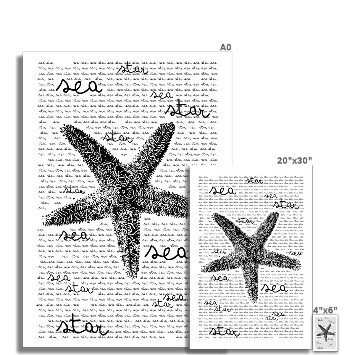 AQUA B&W - 08 - Estrela do Mar - Lona Enrolada