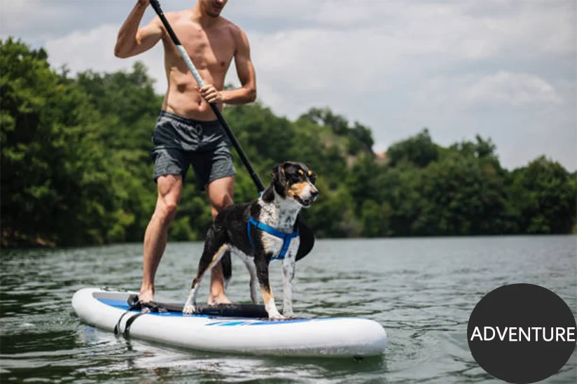 Windsurf All Round Paddle Board Inflatable Surfboard Windsurfing SUP Sailing on Sea for Athlete or Technical Player