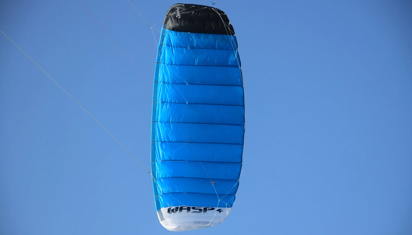 9KM 3.6m~4.5m 4 Line Power Kite Professional Parafoil Traction Kite with Bar Kitesurfing Equipment for TURNING JUMPING