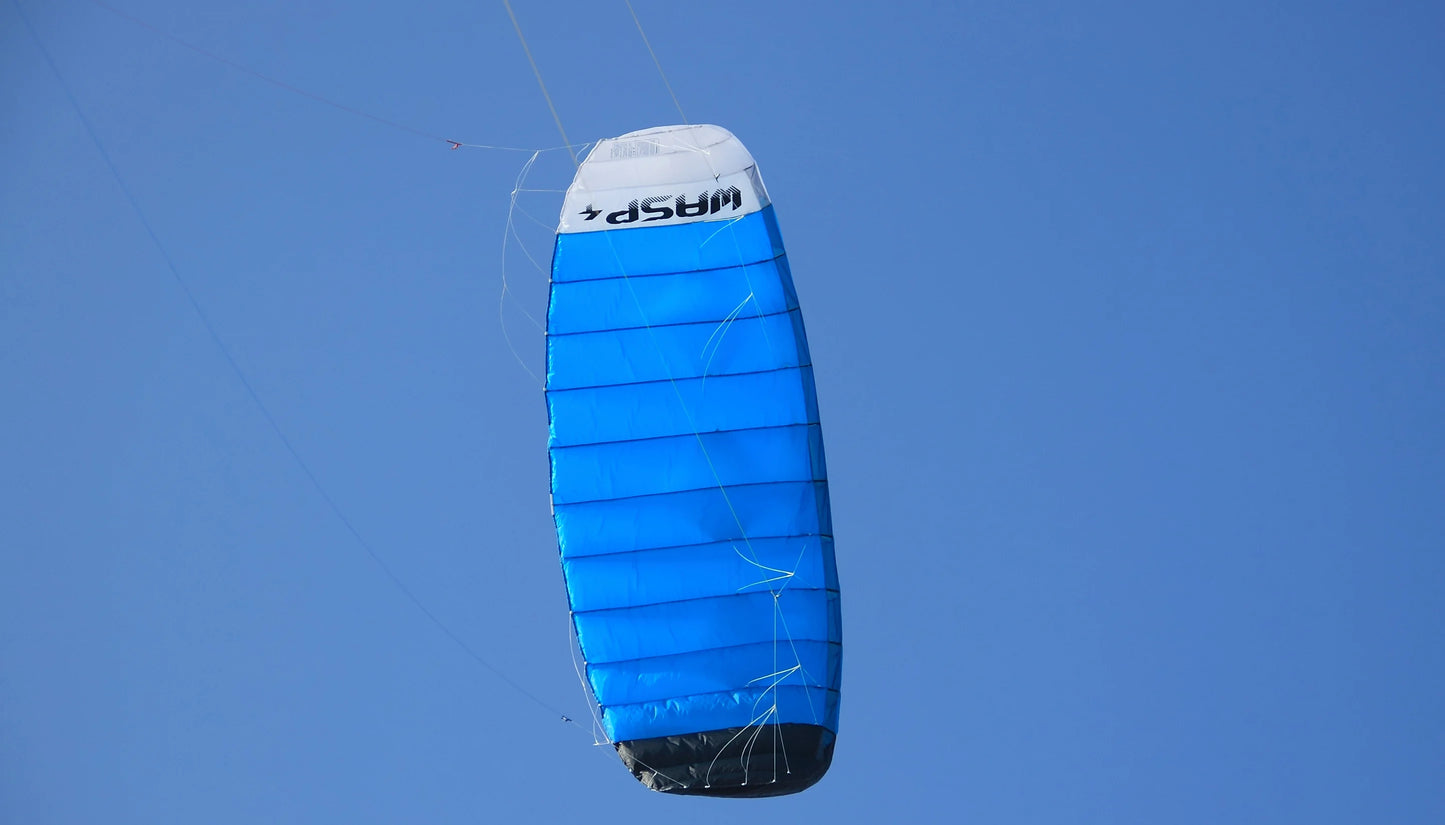 9KM 3.6m~4.5m 4 Line Power Kite Professional Parafoil Traction Kite with Bar Kitesurfing Equipment for TURNING JUMPING