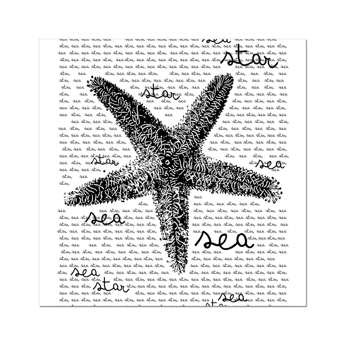 AQUA B&W - 08 - Sea Star - Rolled Canvas