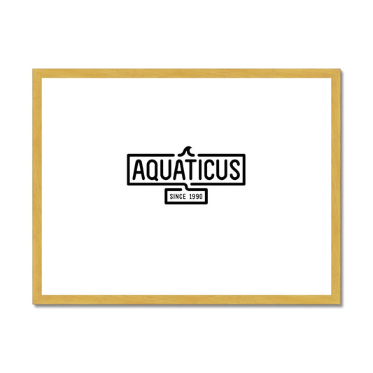 AQUA - 01- Aquaticus - Impressão emoldurada antiga