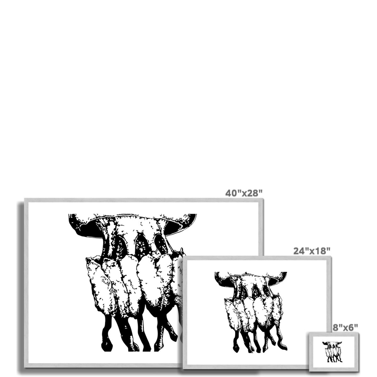 AQUA B&amp;W - 02 - Água-viva - Impressão antiga emoldurada e montada