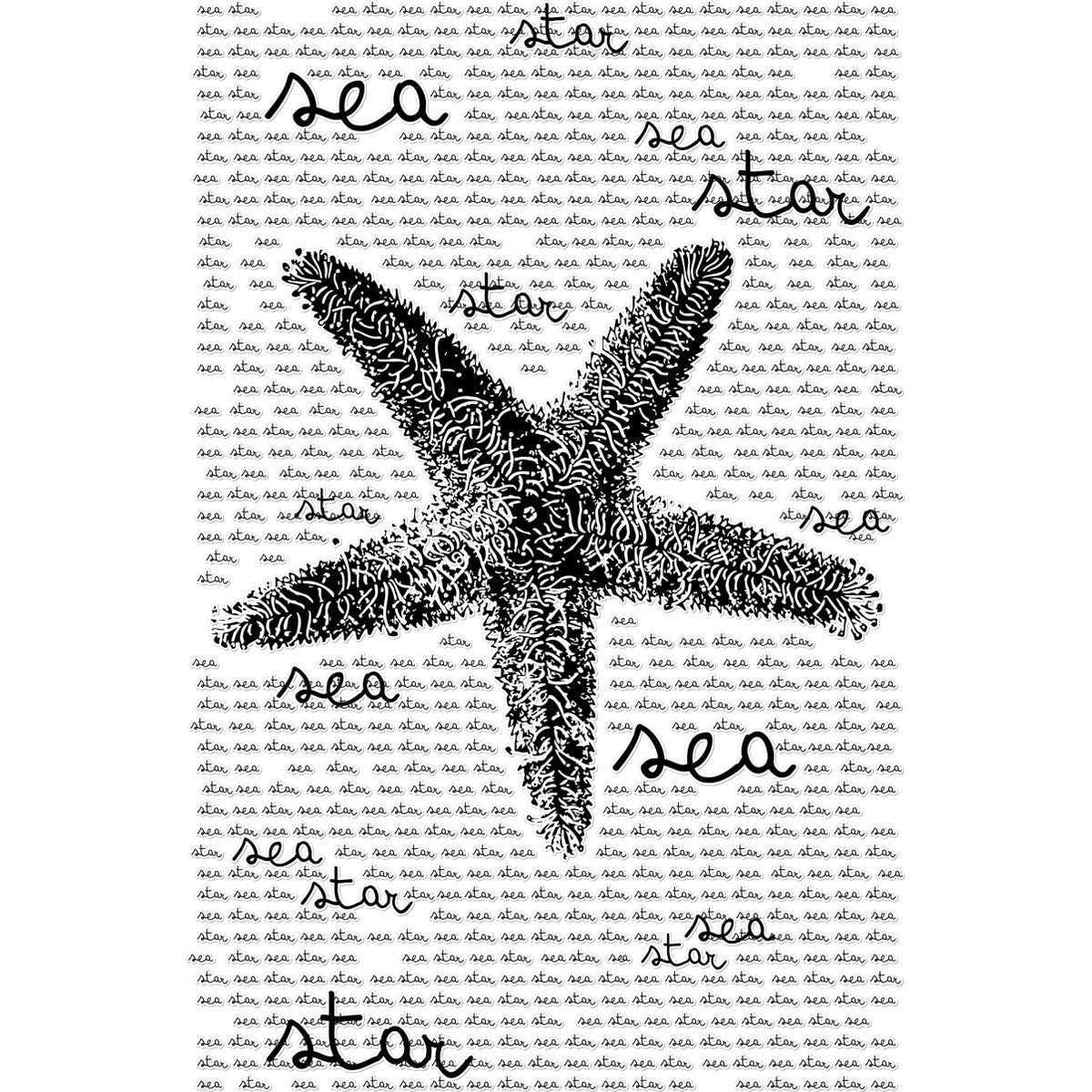AQUA B&W - 08 - Sea Star - Temporary Tattoo