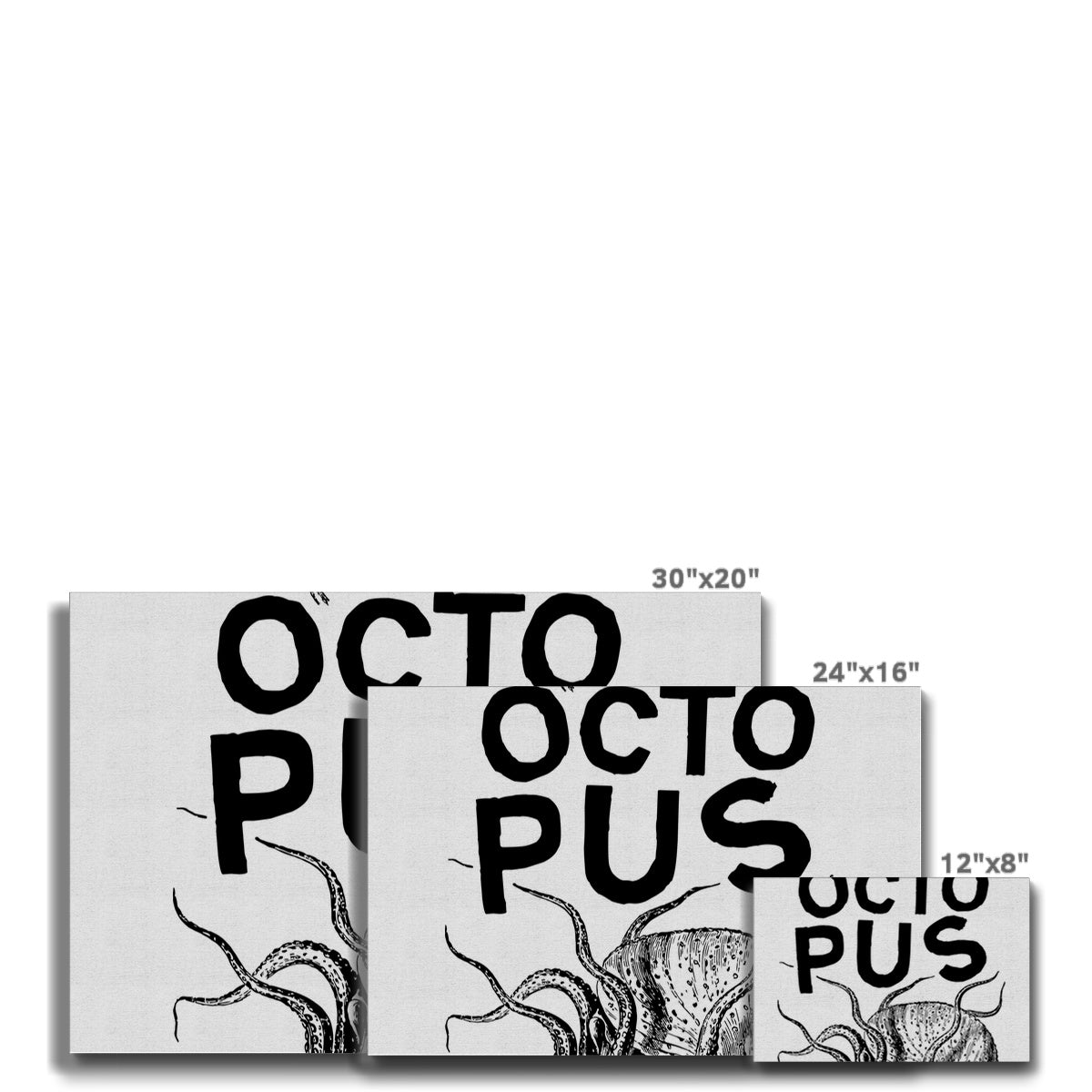 AQUA P&amp;B - 03 - Polvo - Eco Canvas