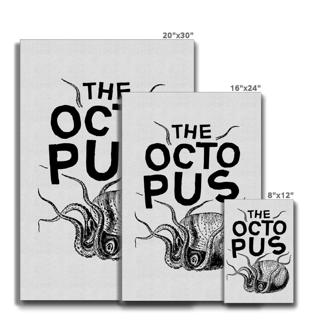 AQUA P&amp;B - 03 - Polvo - Eco Canvas