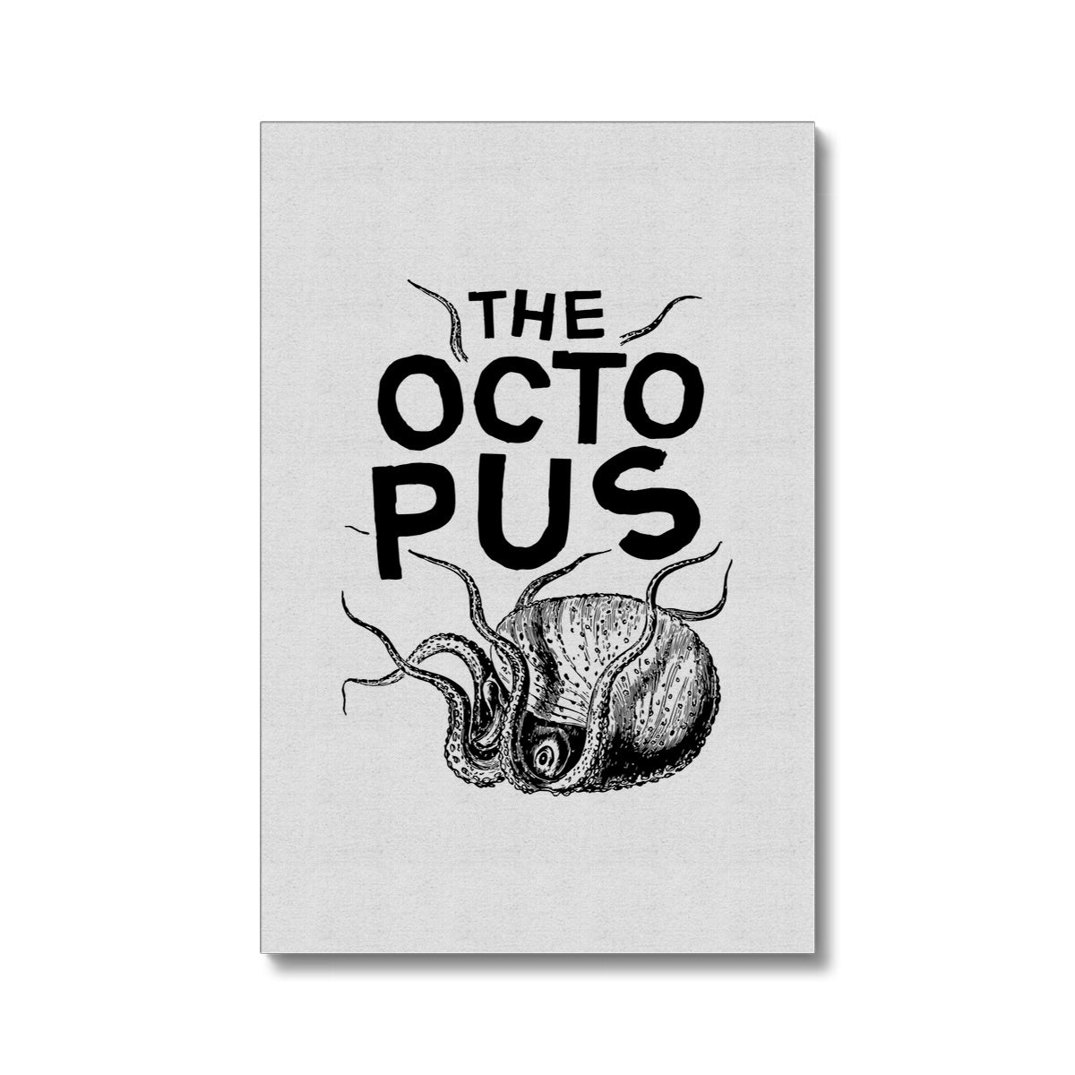 AQUA P&amp;B - 03 - Polvo - Eco Canvas