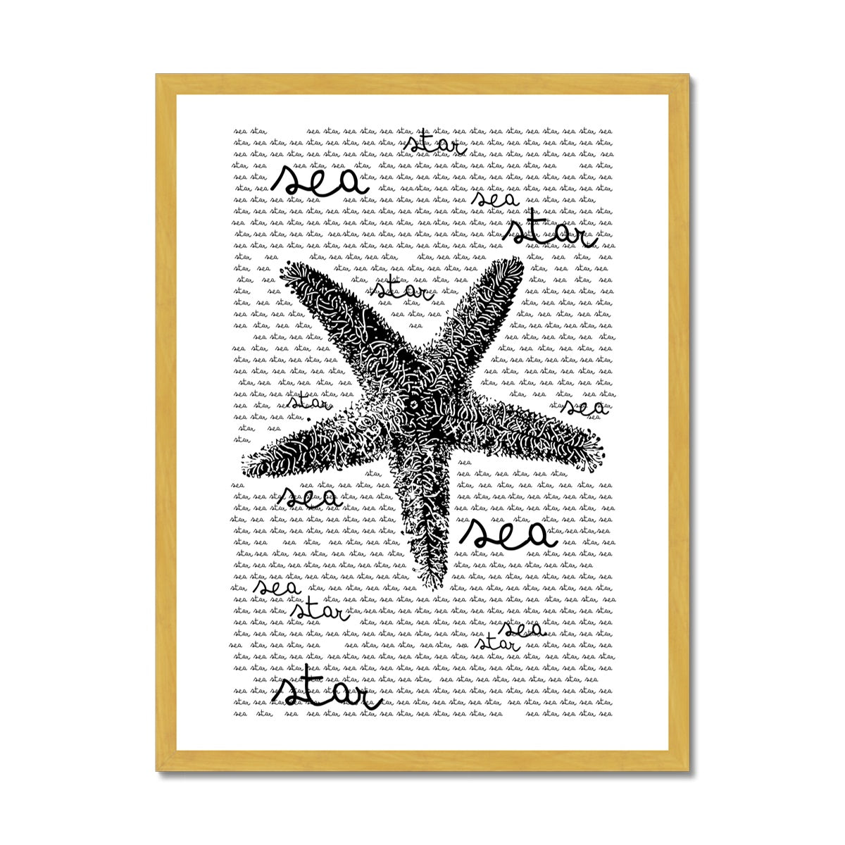 AQUA B&W - 08 - Sea Star - Antique Framed Print