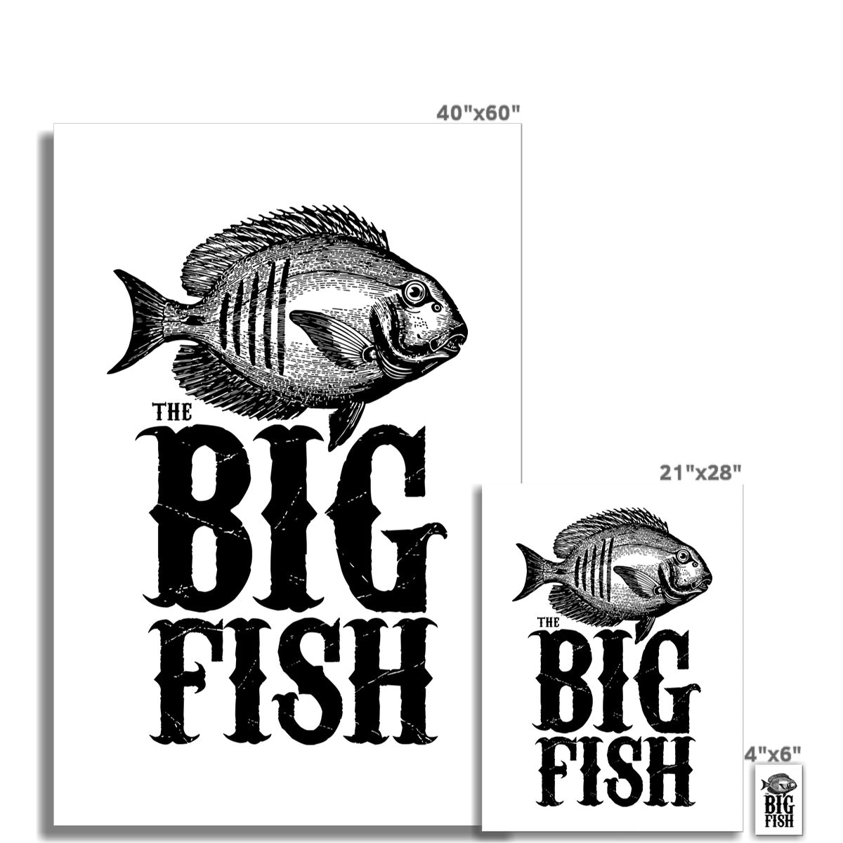 AQUA B&W - 01 -Big Fish - Wall Art Poster
