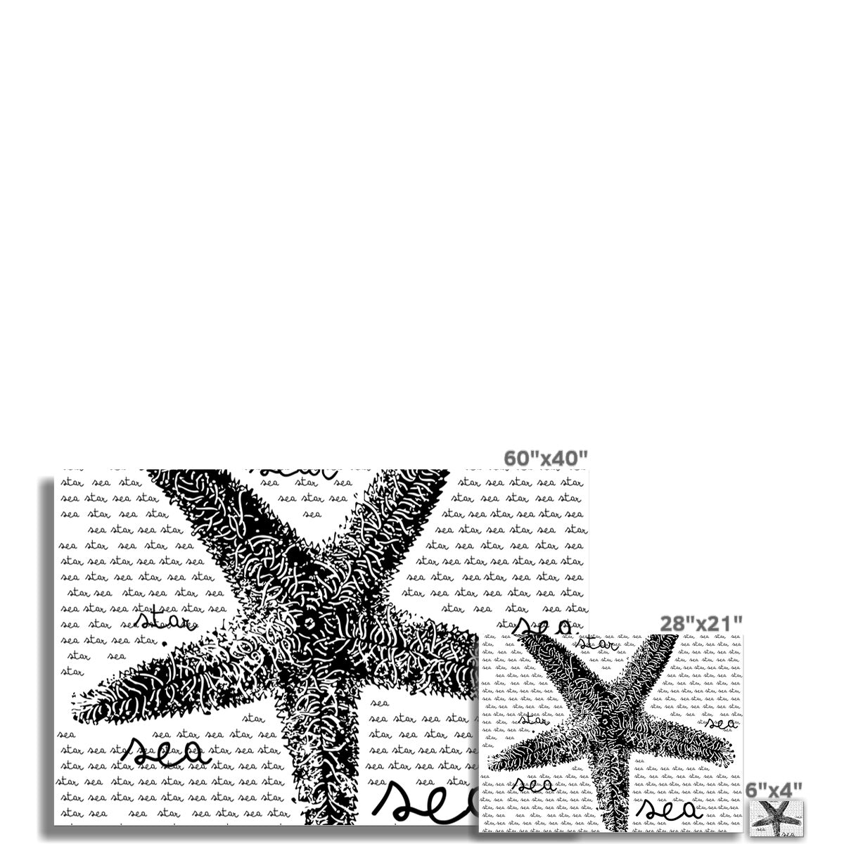 AQUA B&W - 08 - Sea Star - Wall Art Poster