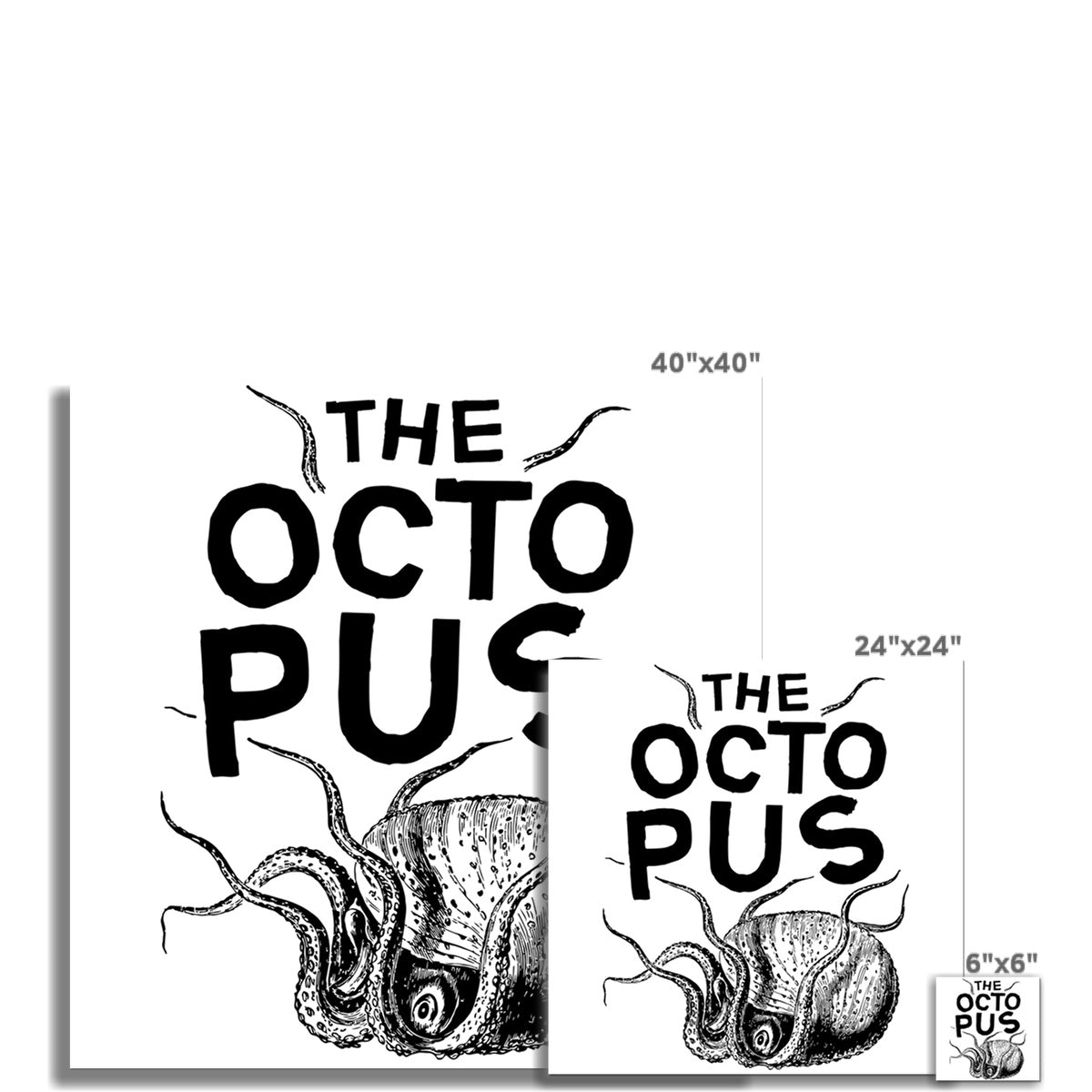 AQUA B&W - 03 - Octopus - Wall Art Poster
