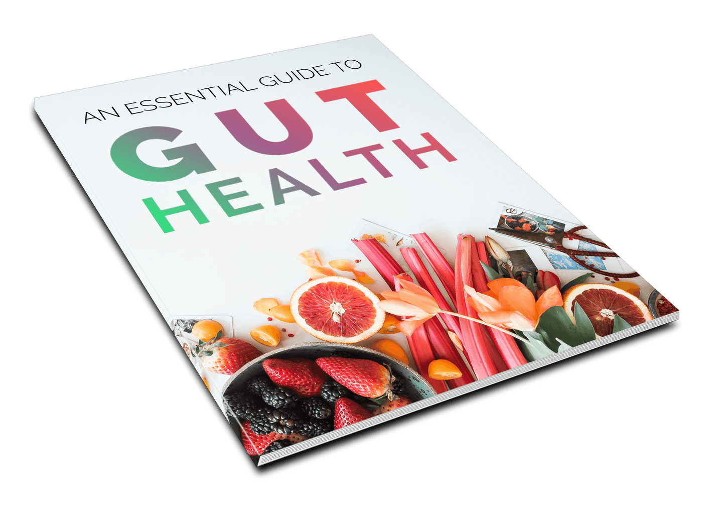 Ebook – Um guia essencial para a saúde intestinal