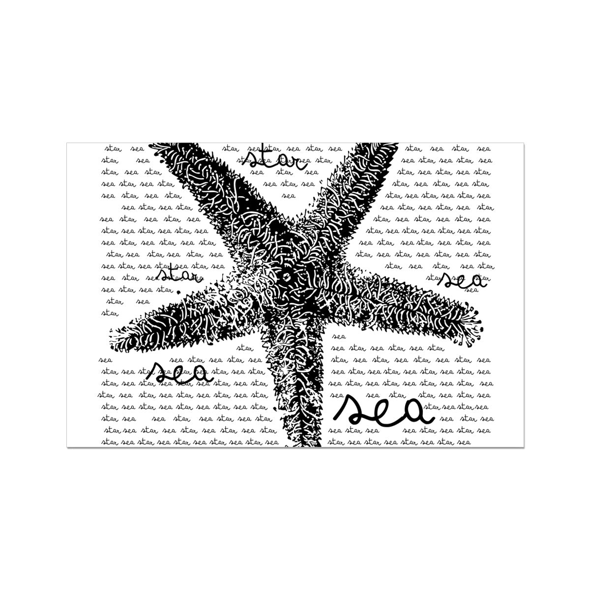 AQUA B&W - 08 - Sea Star - Rolled Canvas