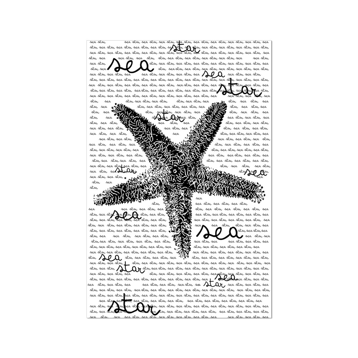 AQUA B&W - 08 - Sea Star - Rolled Eco Canvas