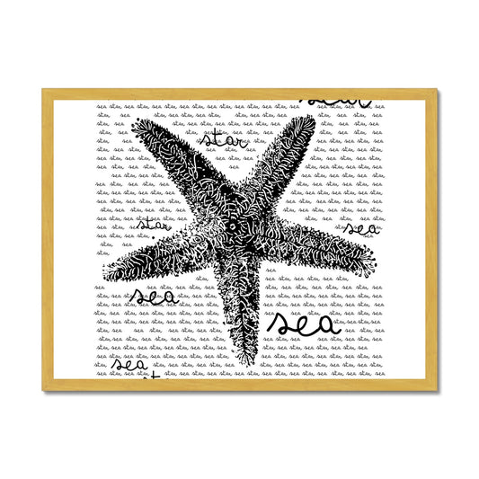 AQUA B&amp;W - 08 - Estrela do mar - Impressão emoldurada antiga