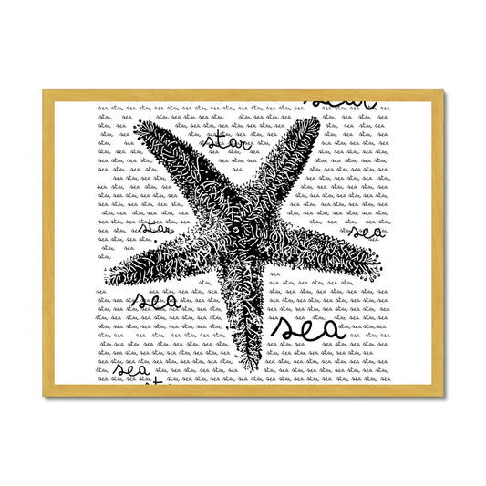 AQUA B&W - 08 - Sea Star - Antique Framed Print