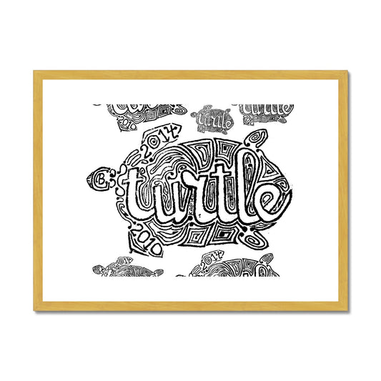 AQUA HMP2 - 12 - Turtle - Antique Framed & Mounted Print