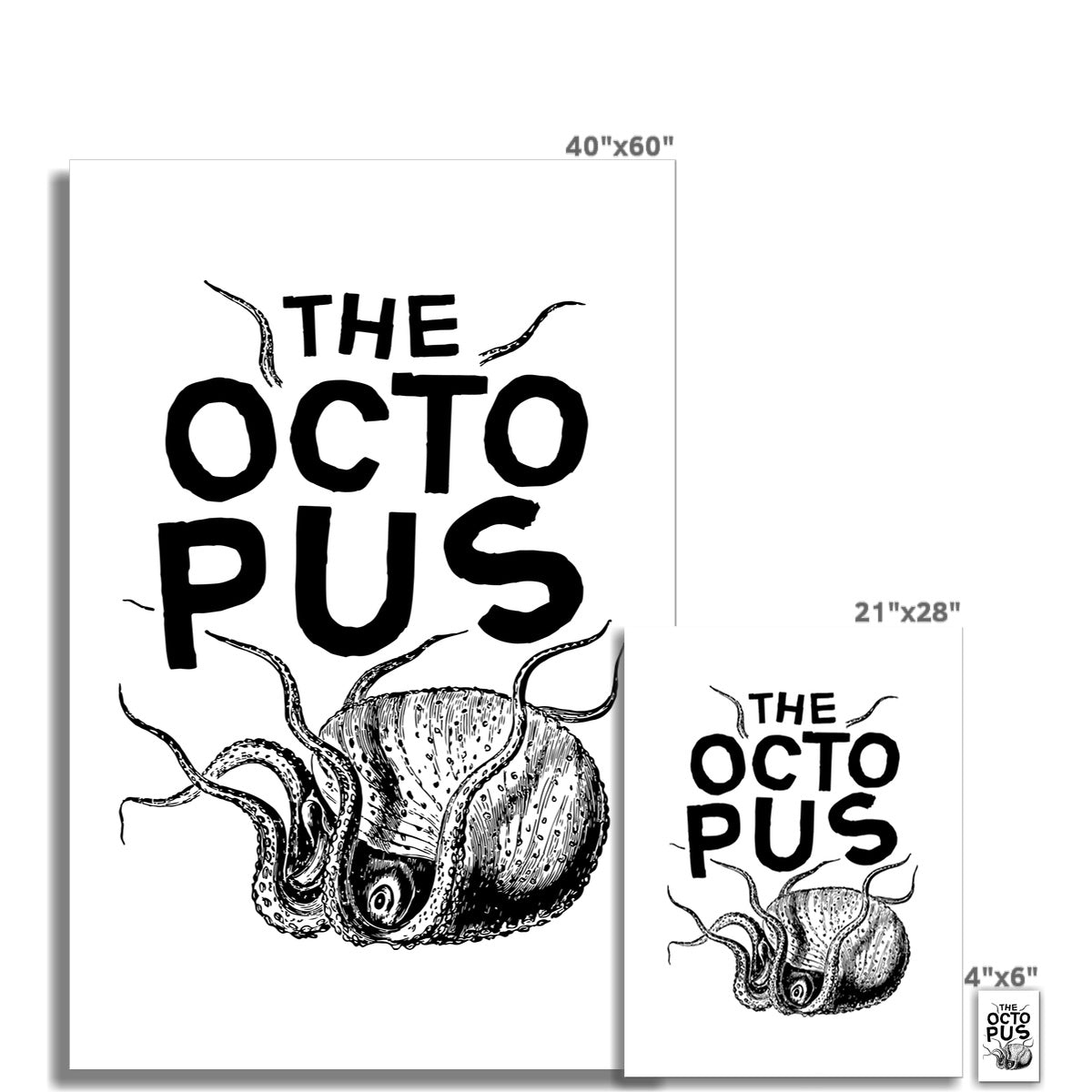 AQUA B&W - 03 - Octopus - Wall Art Poster