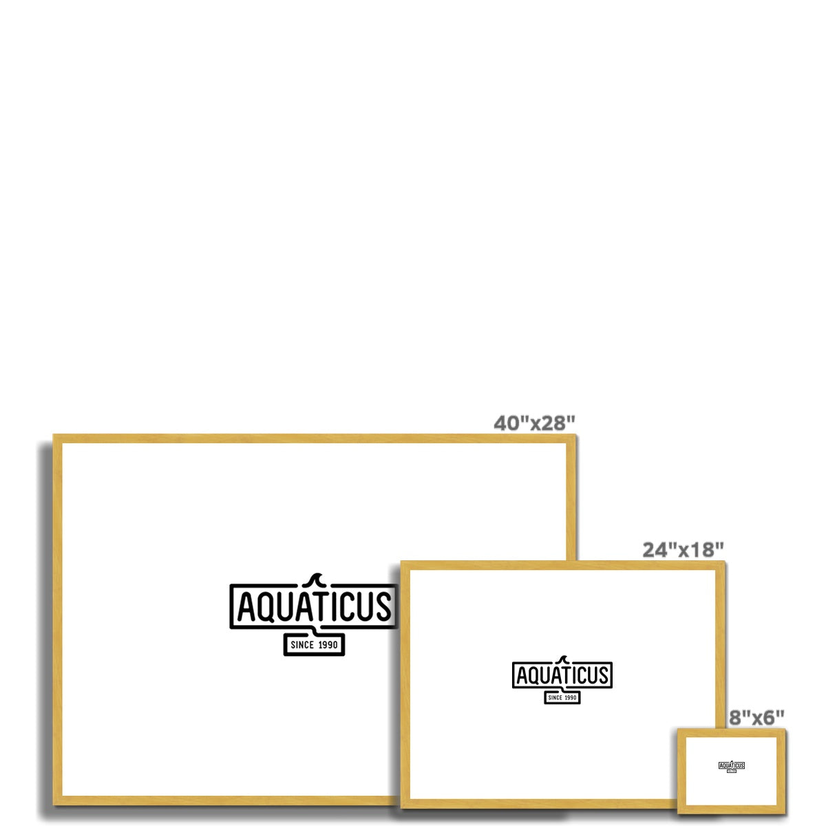 AQUA - 01 - Aquaticus - Antiker gerahmter und montierter Druck